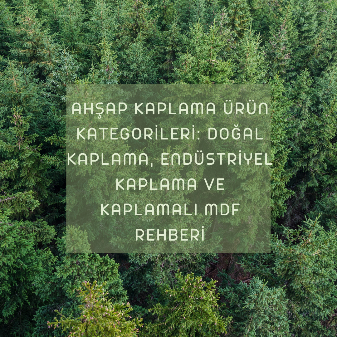 Ahşap Kaplama Ürün Kategorileri: Doğal Kaplama, Endüstriyel Kaplama ve Kaplamalı MDF Rehberi