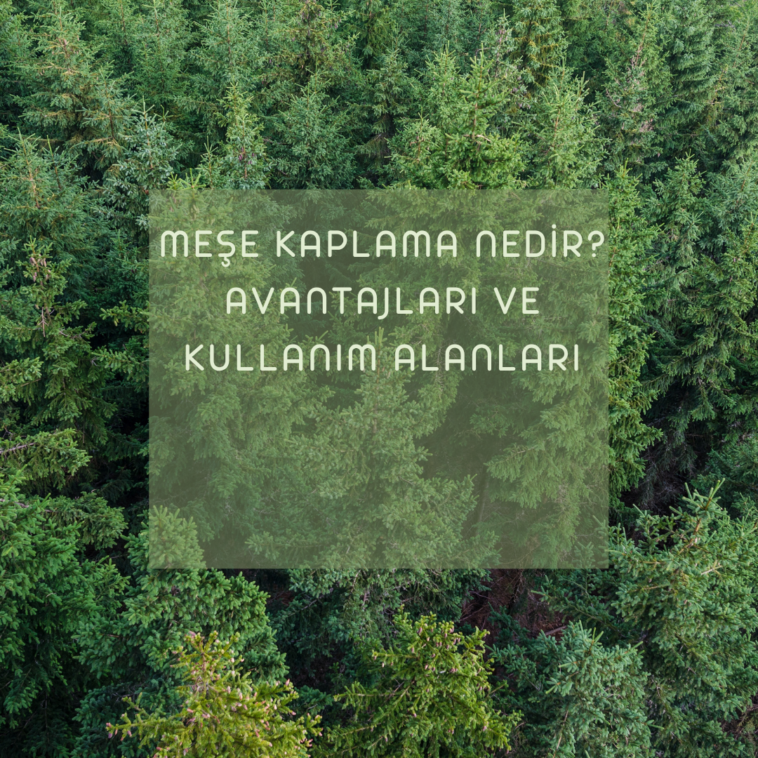 Meşe Kaplama Nedir? Avantajları ve Kullanım Alanları